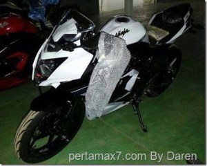 Kawasaki-Ninja-250-RR-mono_thumb.jpg