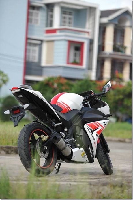 Minerva Visitor Phoenix and minerva 11