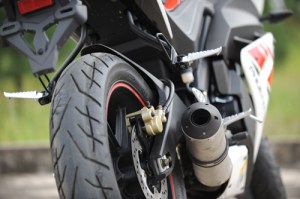 Minerva Visitor Phoenix and minerva&nbsp;12