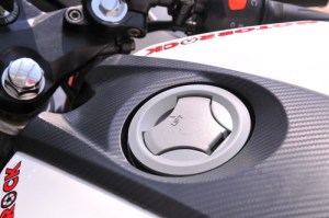 Minerva Visitor Phoenix and minerva&nbsp;15