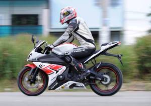 Minerva Visitor Phoenix and minerva&nbsp;16