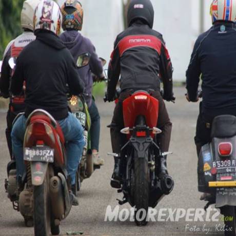 Minerva Visitor Phoenix and minerva 19