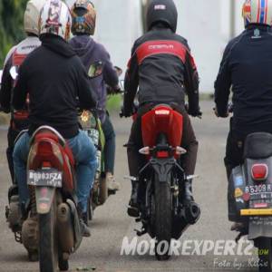 Minerva Visitor Phoenix and minerva&nbsp;19