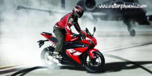 Minerva Visitor Phoenix and minerva&nbsp;2