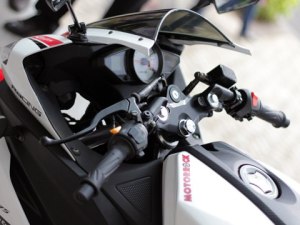 Minerva Visitor Phoenix and minerva&nbsp;23