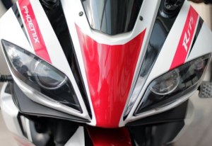 Minerva Visitor Phoenix and minerva&nbsp;24