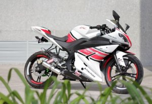 Minerva Visitor Phoenix and minerva&nbsp;27