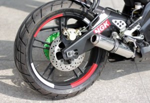 Minerva Visitor Phoenix and minerva&nbsp;28