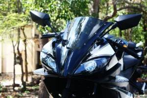 Minerva Visitor Phoenix and minerva&nbsp;35