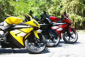 Minerva Visitor Phoenix and minerva&nbsp;36