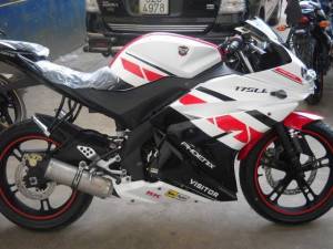 Minerva Visitor Phoenix and minerva&nbsp;5