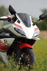 Minerva Visitor Phoenix and minerva&nbsp;8