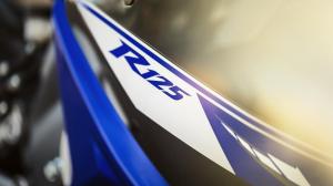 2014-Yamaha-YZF-R125-EU-Race-Blu-Detail-012