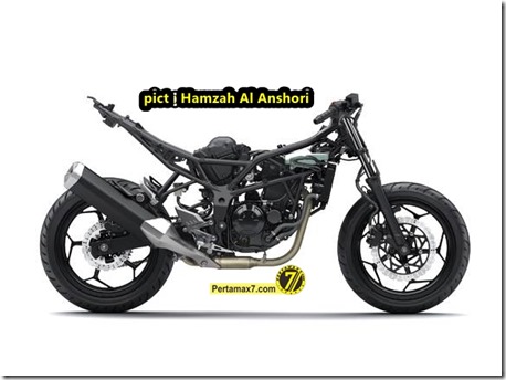 kawasaki ninja 250 RR MONO 10