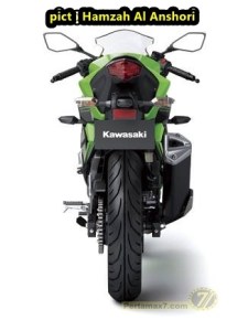kawasaki-ninja-250-RR-MONO-11.jpg