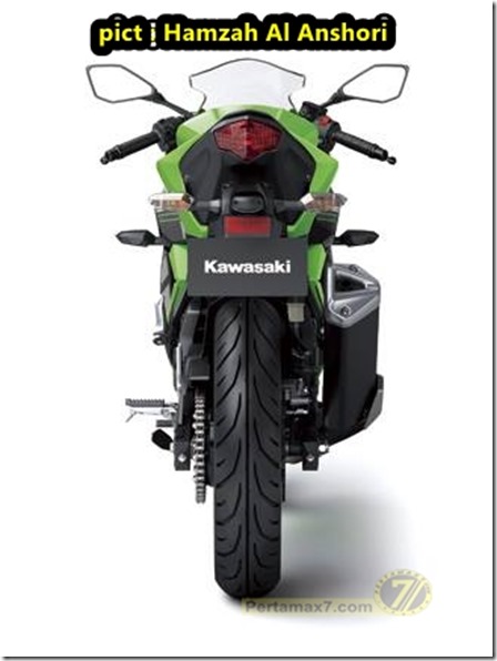 kawasaki ninja 250 RR MONO 11