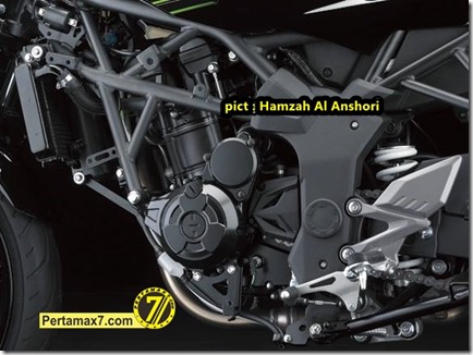 kawasaki ninja 250 RR MONO 2