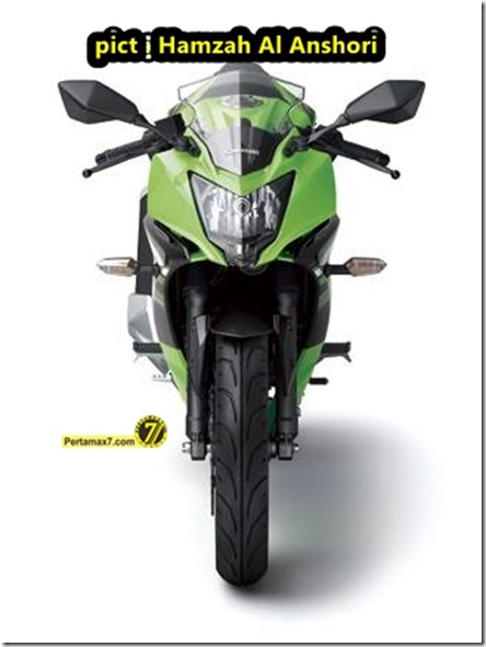 kawasaki ninja 250 RR MONO 3
