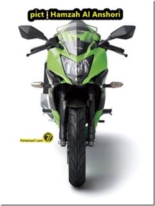 kawasaki-ninja-250-RR-MONO-3_thumb.jpg