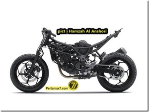 kawasaki-ninja-250-RR-MONO-4_thumb.jpg
