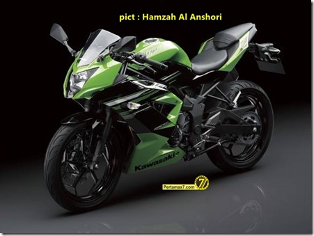 kawasaki ninja 250 RR MONO 6