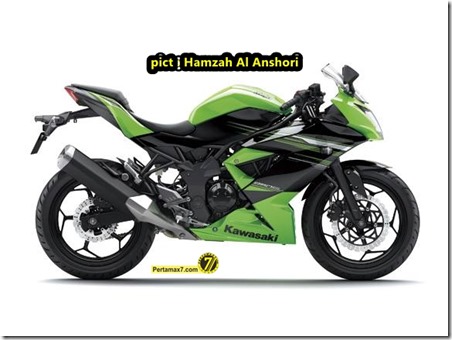 kawasaki ninja 250 RR MONO 8