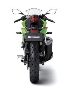 Kawasaki Ninja 250 RR&nbsp;MONO1