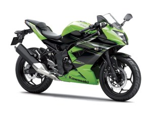 Kawasaki Ninja 250 RR&nbsp;MONO10