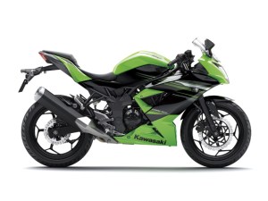 Kawasaki Ninja 250 RR&nbsp;MONO11