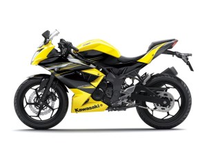 Kawasaki Ninja 250 RR&nbsp;MONO12