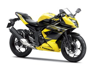 Kawasaki Ninja 250 RR&nbsp;MONO13