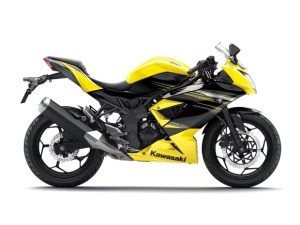 Kawasaki Ninja 250 RR&nbsp;MONO14