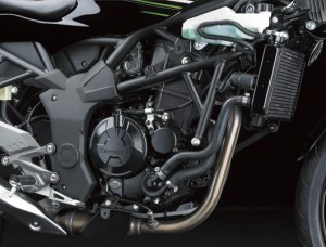 Kawasaki-Ninja-250-RR-MONO16.jpg