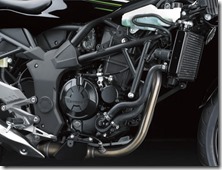 Kawasaki-Ninja-250-RR-MONO16_thumb.jpg