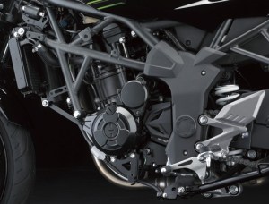 Kawasaki-Ninja-250-RR-MONO17.jpg
