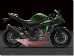 Kawasaki Ninja 250 RR MONO19