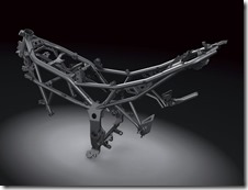 Kawasaki Ninja 250 RR MONO20