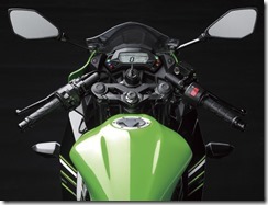 Kawasaki Ninja 250 RR MONO22