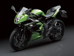Kawasaki-Ninja-250-RR-MONO26.jpg