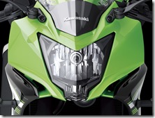 Kawasaki Ninja 250 RR MONO29