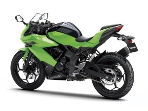 Kawasaki Ninja 250 RR&nbsp;MONO3