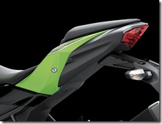 Kawasaki Ninja 250 RR MONO30