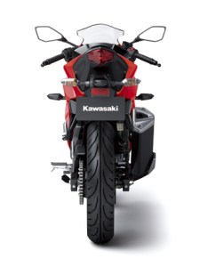 Kawasaki Ninja 250 RR&nbsp;MONO31