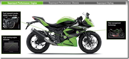 Kawasaki Ninja 250 RR MONO37