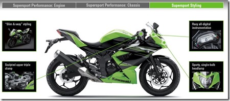 Kawasaki Ninja 250 RR MONO38