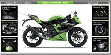 Kawasaki Ninja 250 RR MONO39