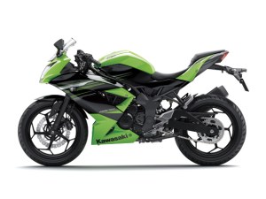 Kawasaki Ninja 250 RR&nbsp;MONO9