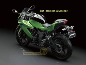 kawasaki-ninja-250-SL-hijau.jpg