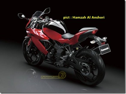 kawasaki ninja 250 SL