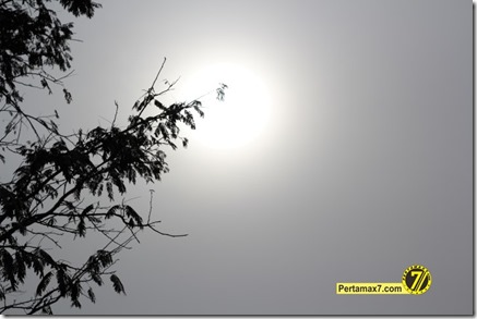 pertamax7.com 014 (Small)